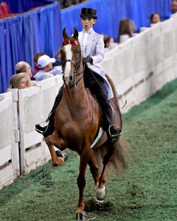 She's My Kinda Party