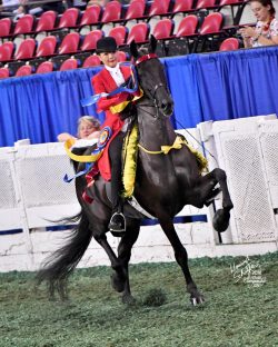 Alexa Dahl & WC CH Undulata's Satchmo