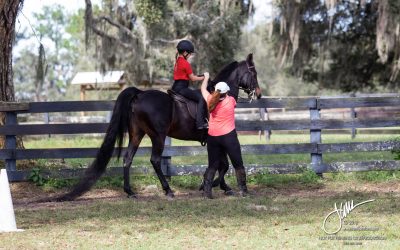 Searching for a Riding Instructor