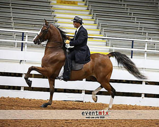 Congratulations to the Schaffel Family!