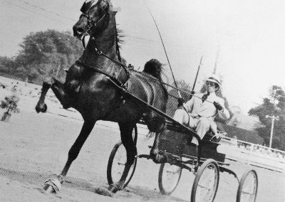 Match Point and Woody Henry