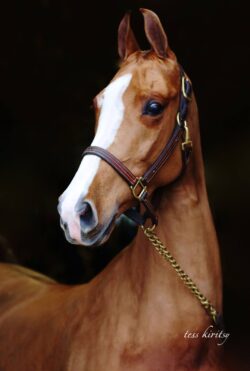 She's My Kinda Party