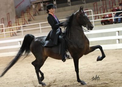 CBMF She's Got The Beat