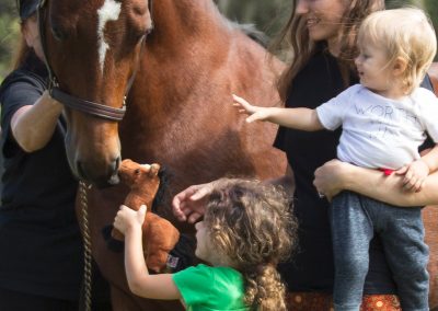 Gradell Center of Action