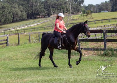 CBMF She's Got The Beat