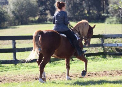 RCV There's No Question