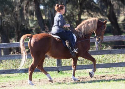 RCV There's No Question