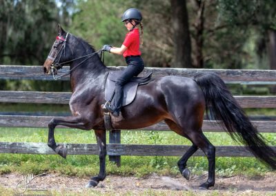 CBMF She's Got The Beat